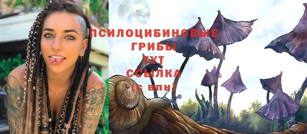 дурь Липки
