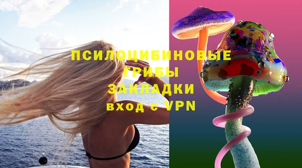 дурь Липки