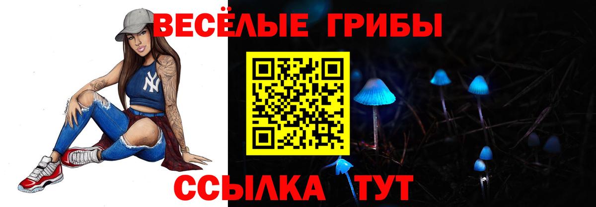 Псилоцибиновые грибы GOLDEN TEACHER Южно-Сахалинск